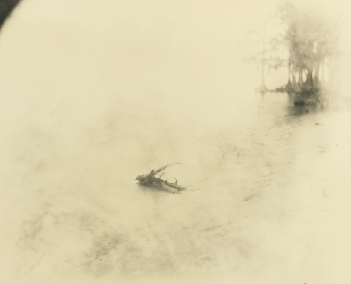 UNTITLED (DEEP SOUTH #21) by Sally Mann