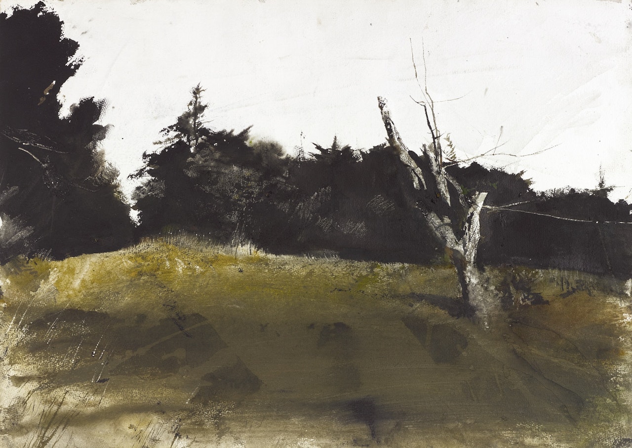 ORCHARD KNOLL by Andrew Wyeth
