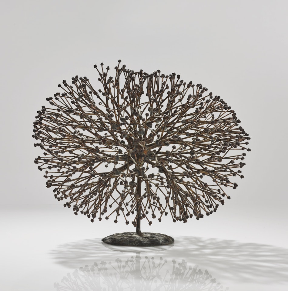 UNTITLED (BUSH) by Harry Bertoia