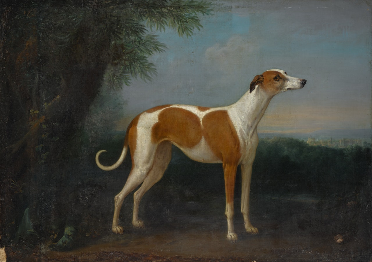 A greyhound in a landscape, with a view of Windsor Castle beyond by John Wootton
