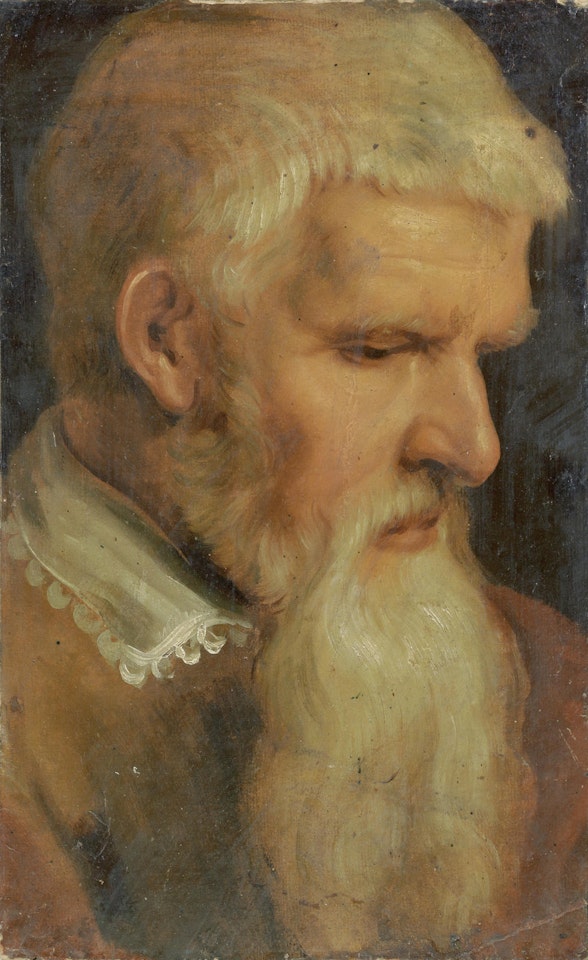 The head of a bearded man by Flemish School