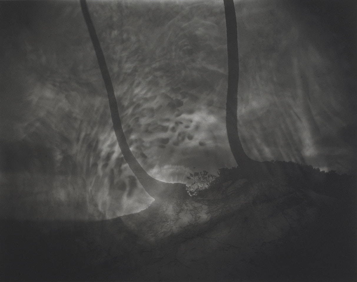 Untitled by Sally Mann