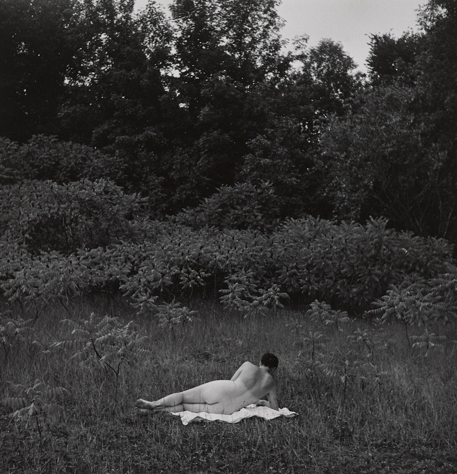 Eleanor, Port Huron by Harry Callahan