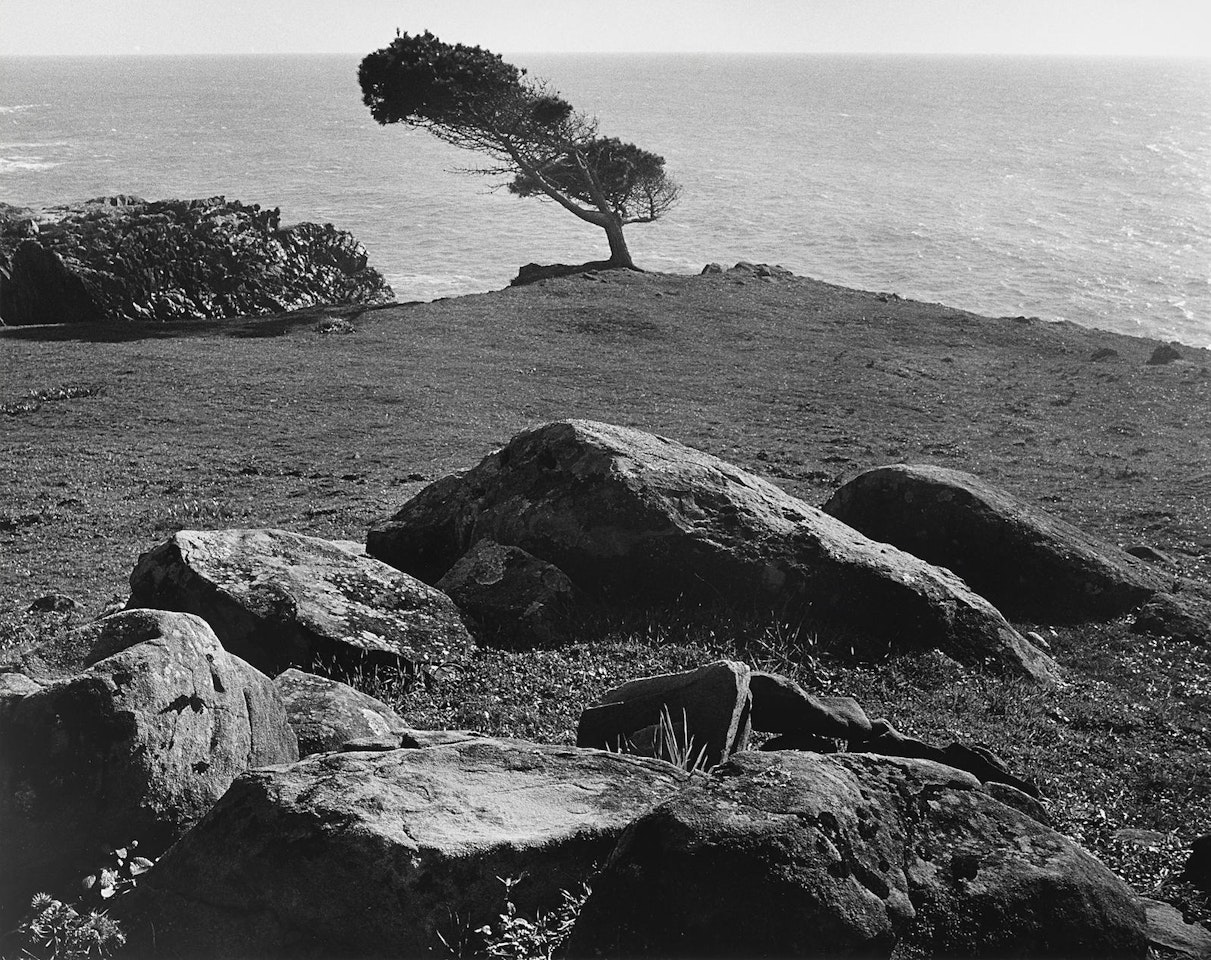 At Timber Cove, North Coast, California by Ansel Adams