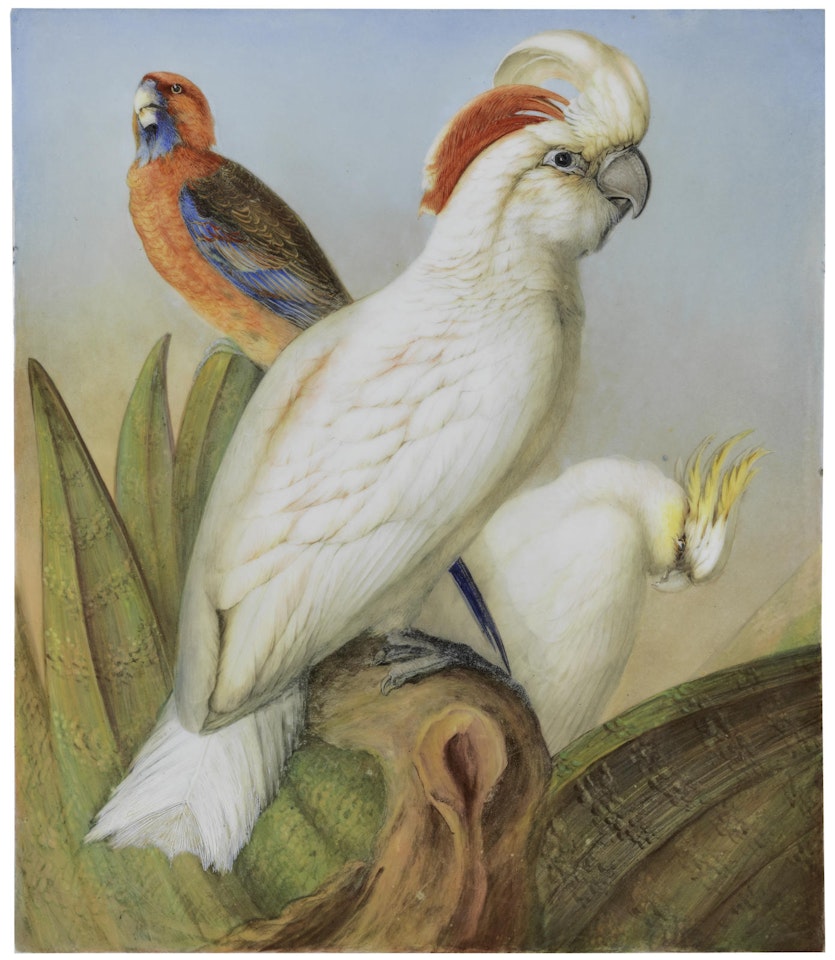 A fine English porcelain plaque by John Randall by Anonymous