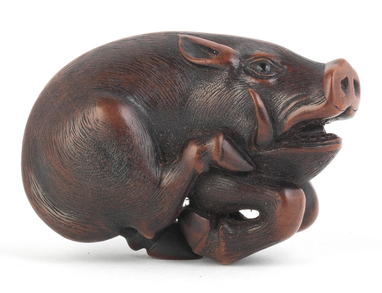 A boxwood netsuke of a wild boar, By Jack Coutu (1924-2017) by Anonymous