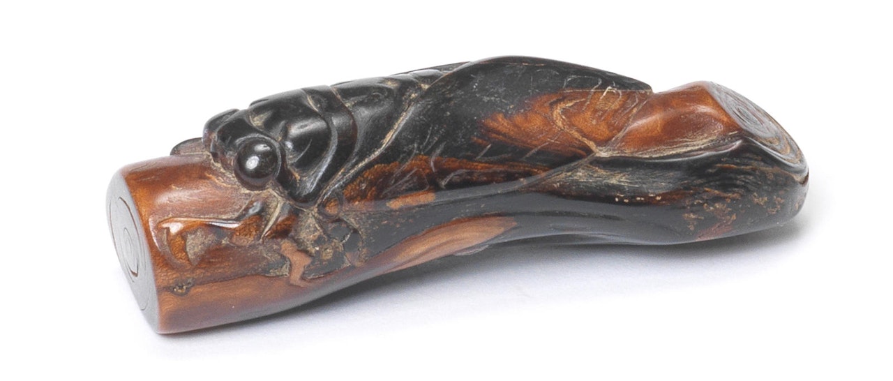 An umimatsu (sea-pine) netsuke of cicada on a branch by Anonymous