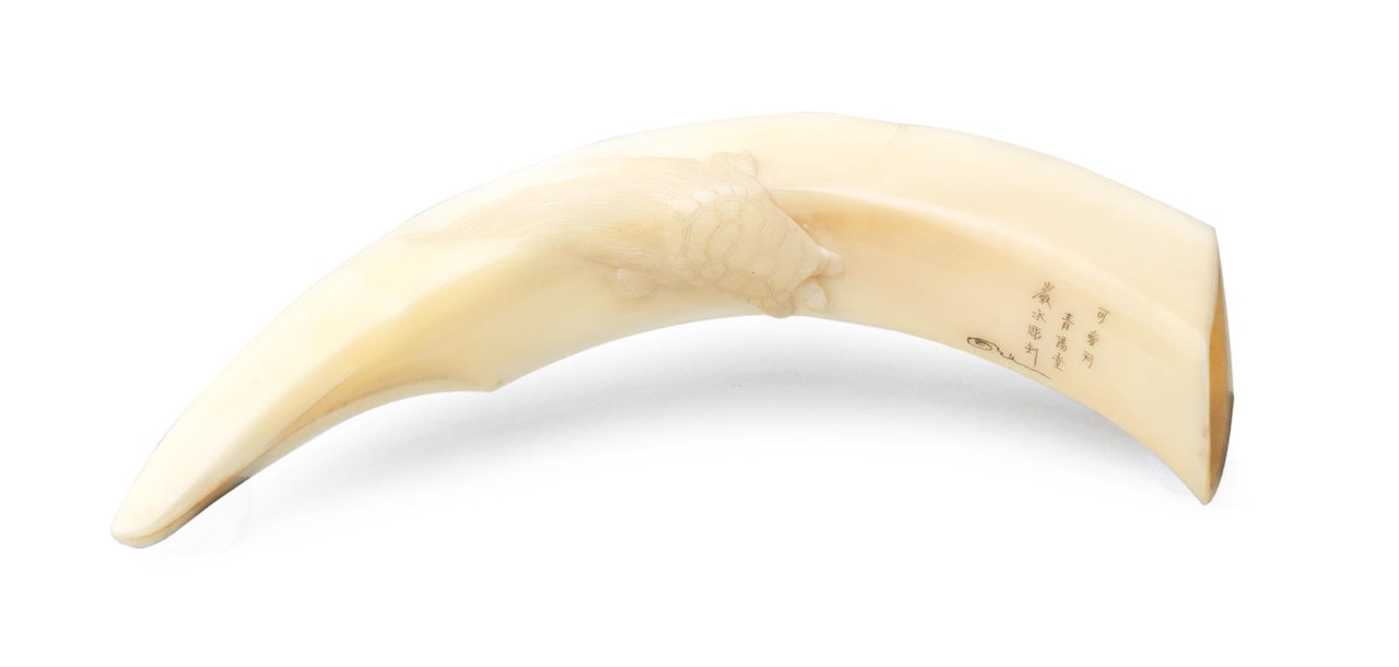 A boar-tusk netsuke with a minogame  by Anonymous