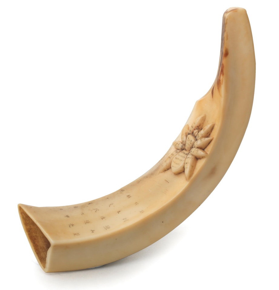 A boar-tusk netsuke with a spider by Anonymous