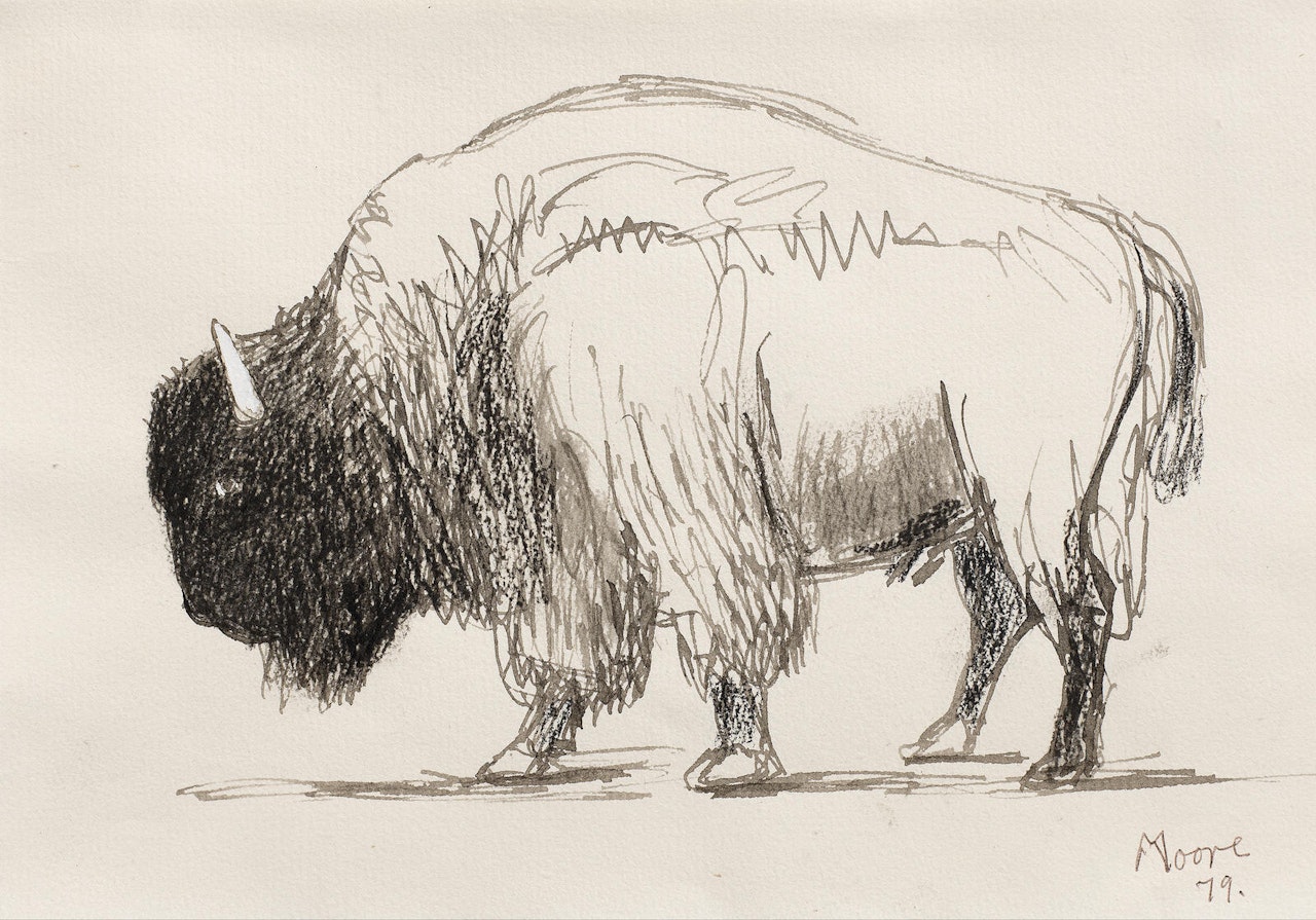 Bison in Profile to Left by Henry Moore