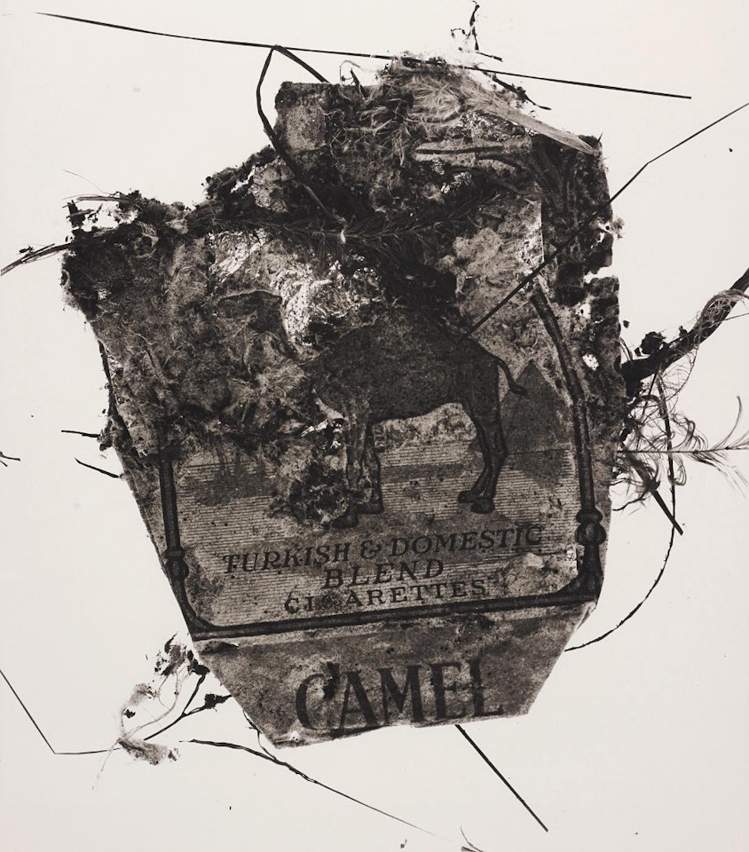 Camel Pack, 1975 by Irving Penn
