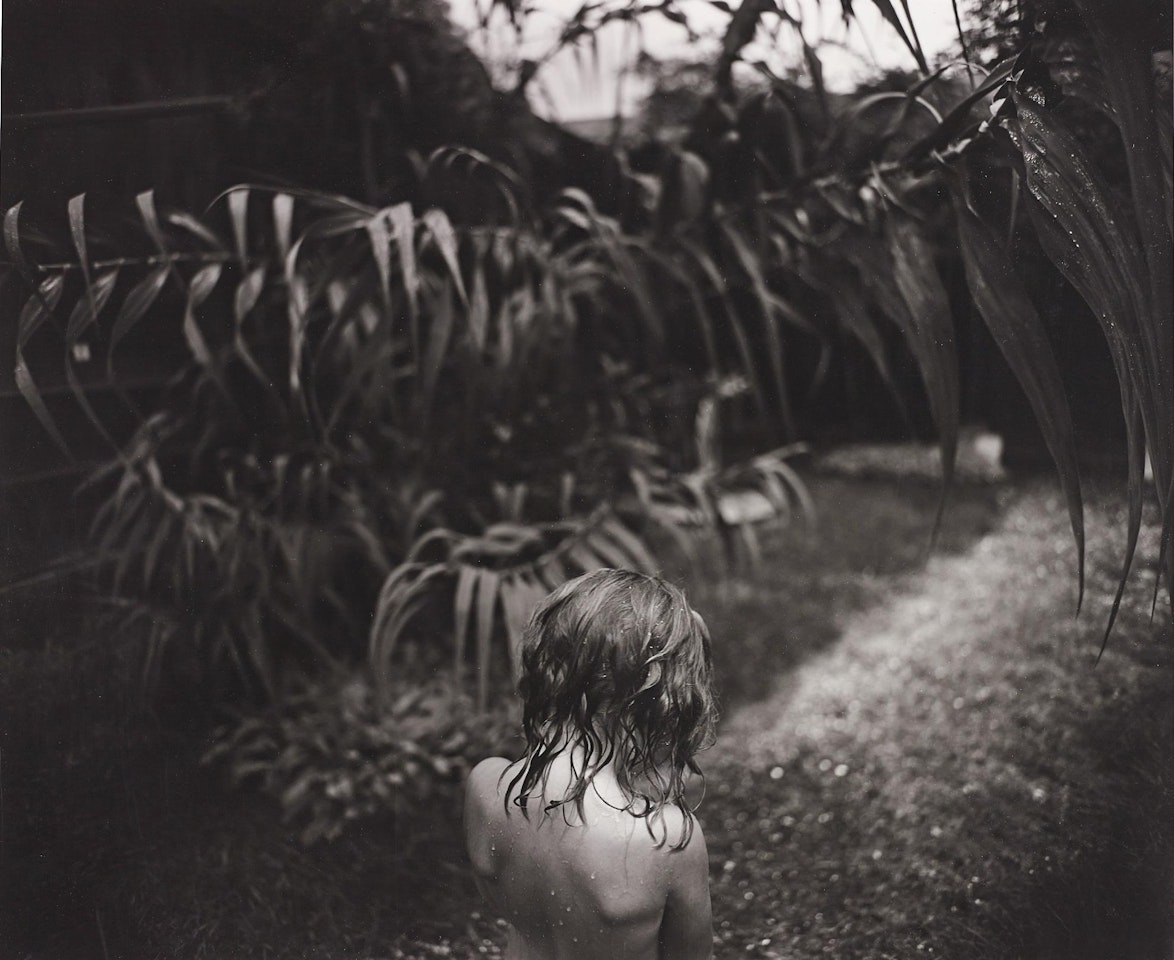 Arundo Donax, 1988 by Sally Mann