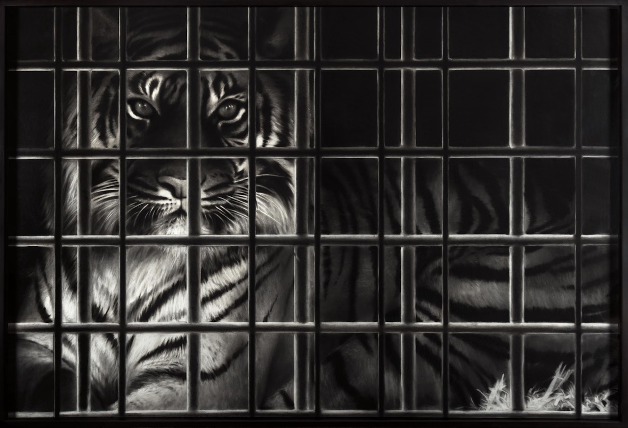 Untitled (Tiger in a Cage, Lao Hu) by Robert Longo