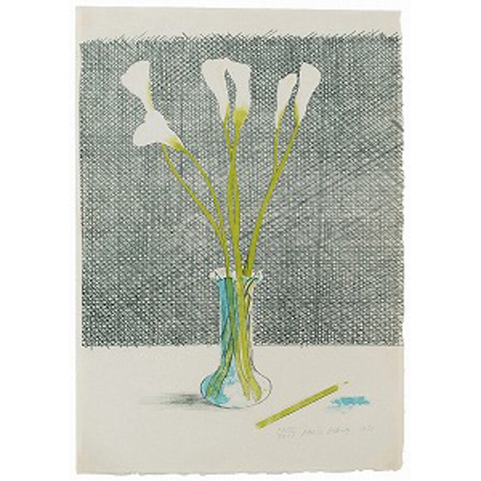 Lillies by David Hockney