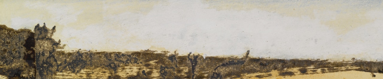 ARIZONA LANDSCAPE by Max Ernst