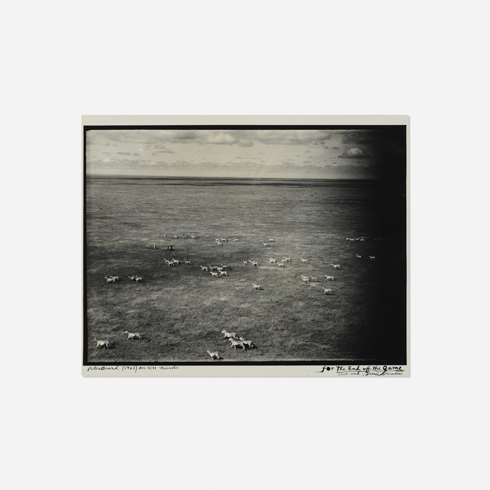 For The End of the Game, last word from paradise by Peter Beard