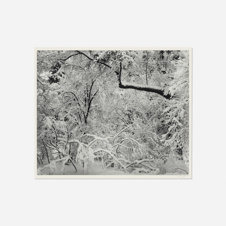 Fresh Snow, Yosemite Valley, California, 1947 (from Portfolio VI) by Ansel Adams