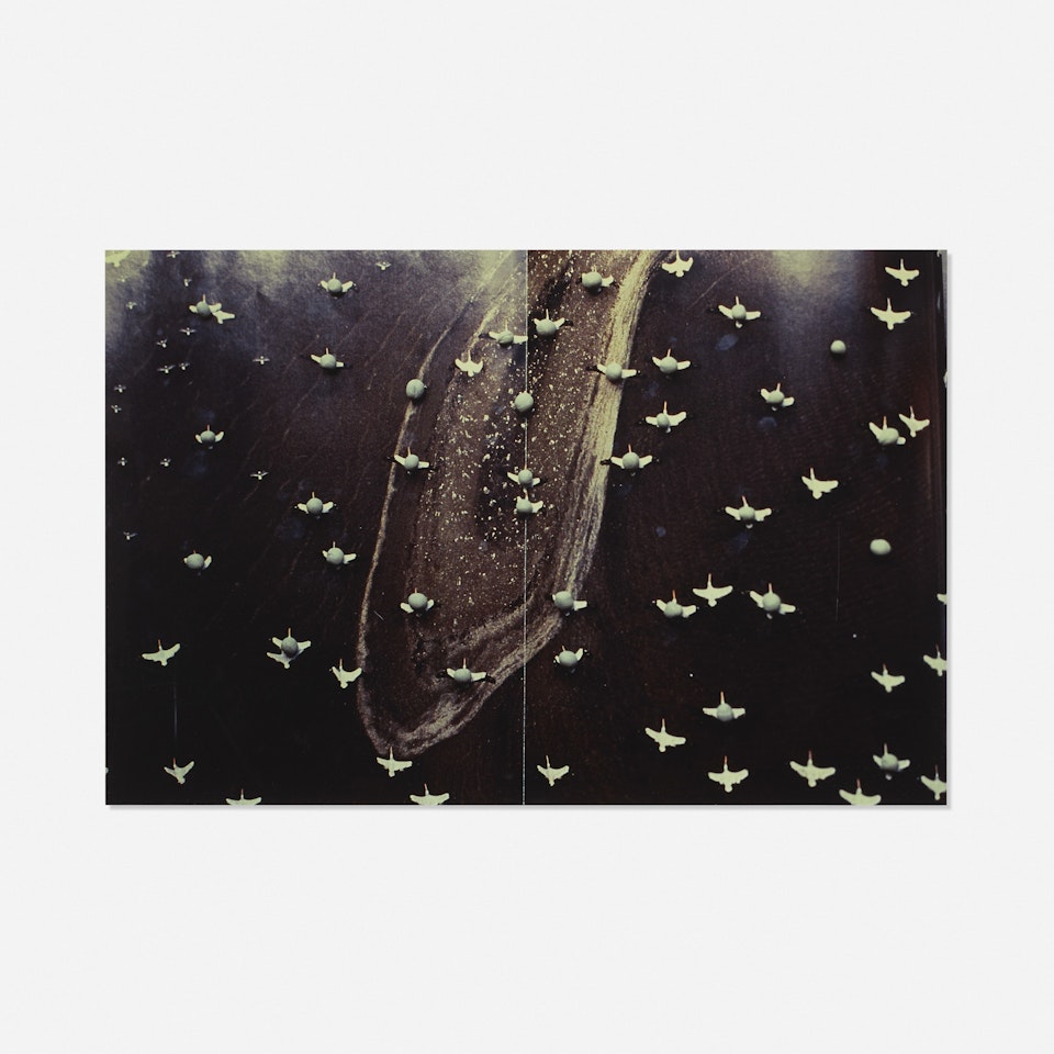 Migration by Gabriel Orozco