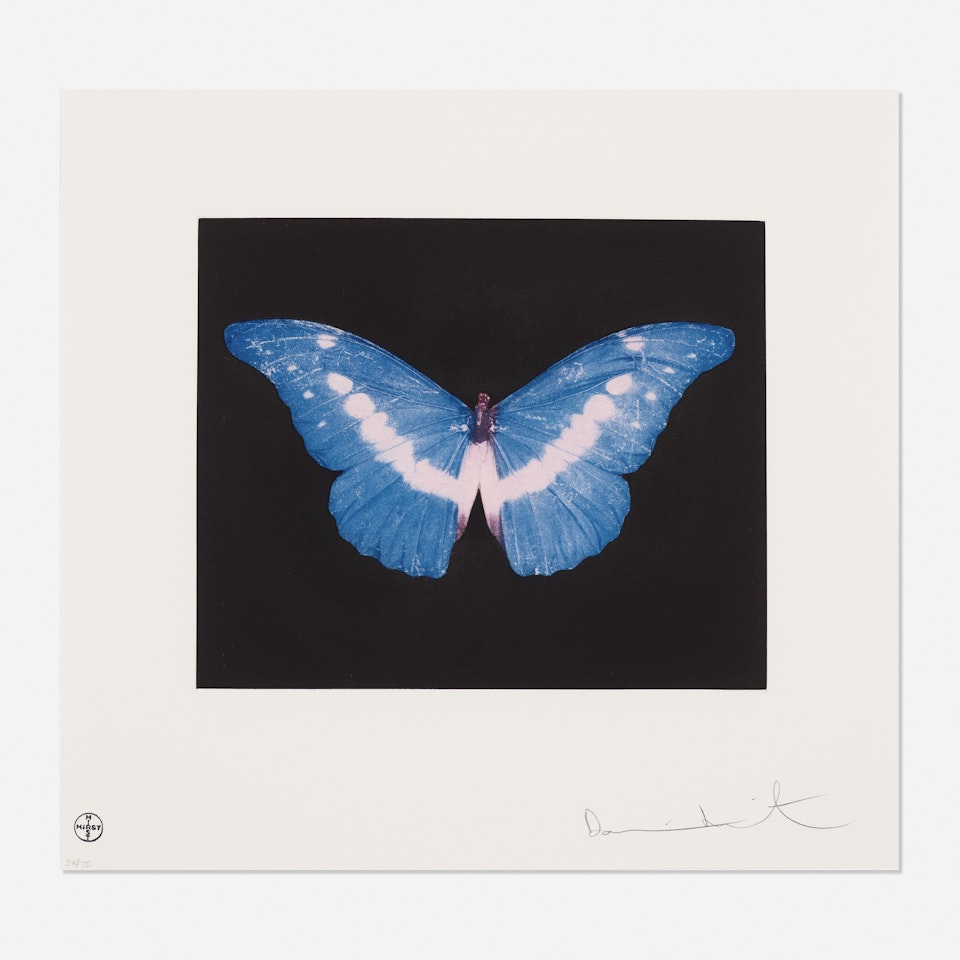 To Belong - Butterfly by Damien Hirst
