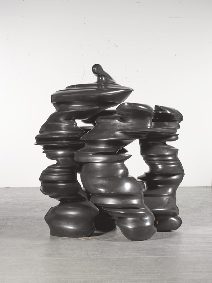 FIGMENTS by Tony Cragg