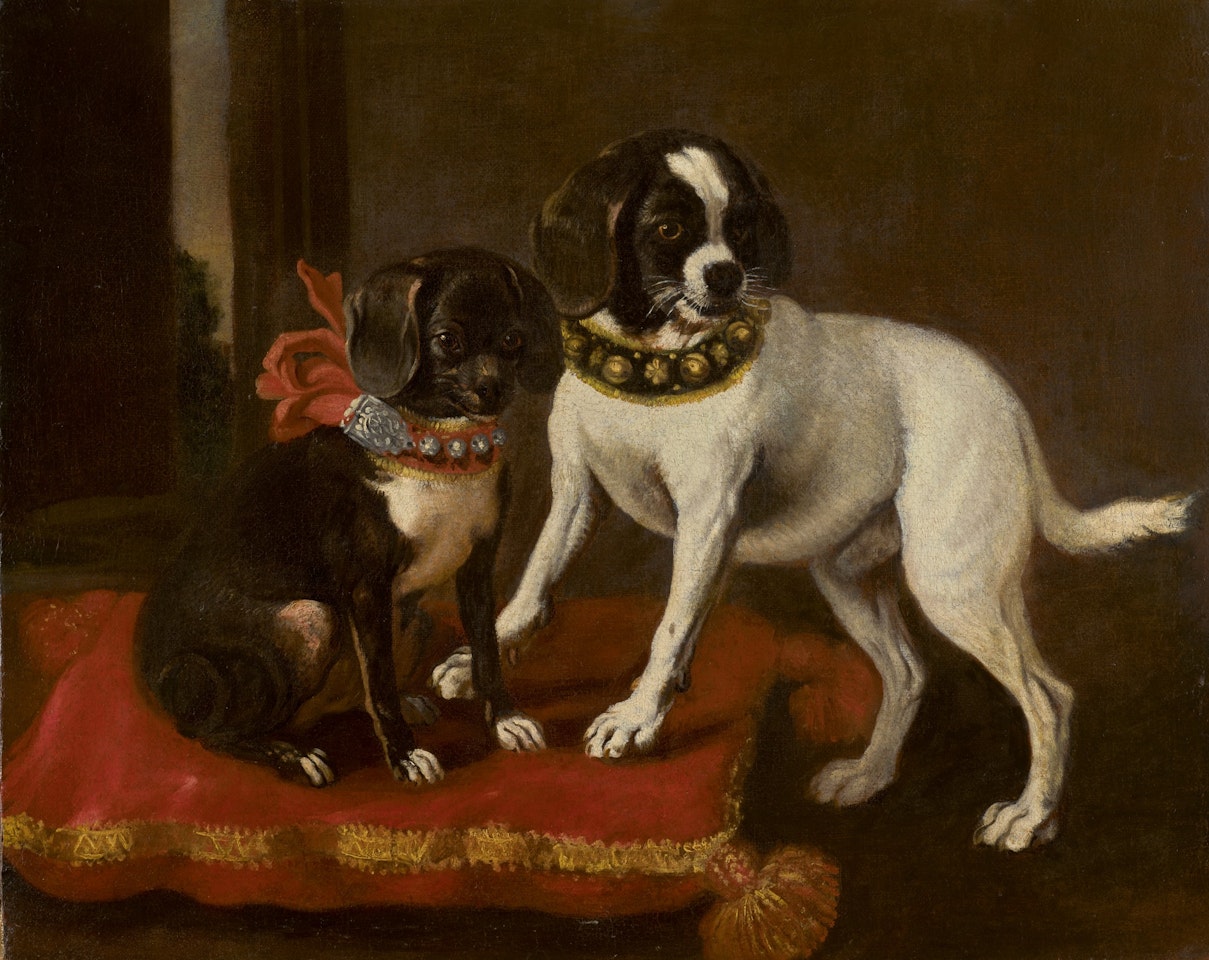 TWO DOGS WITH COLLARS OF GOLD AND SILVER SITTING ON A RED CUSHION by Florentine School