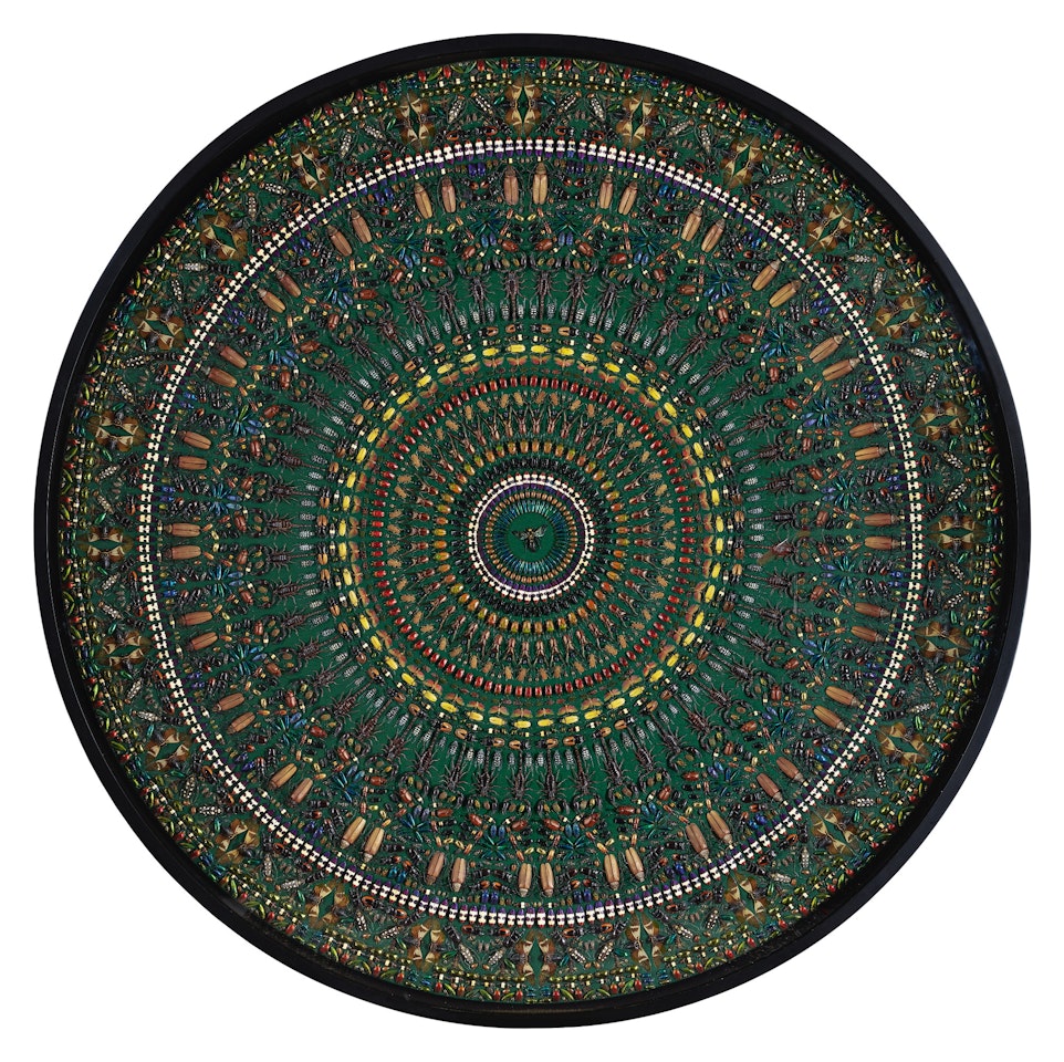 DARK ACHERON by Damien Hirst