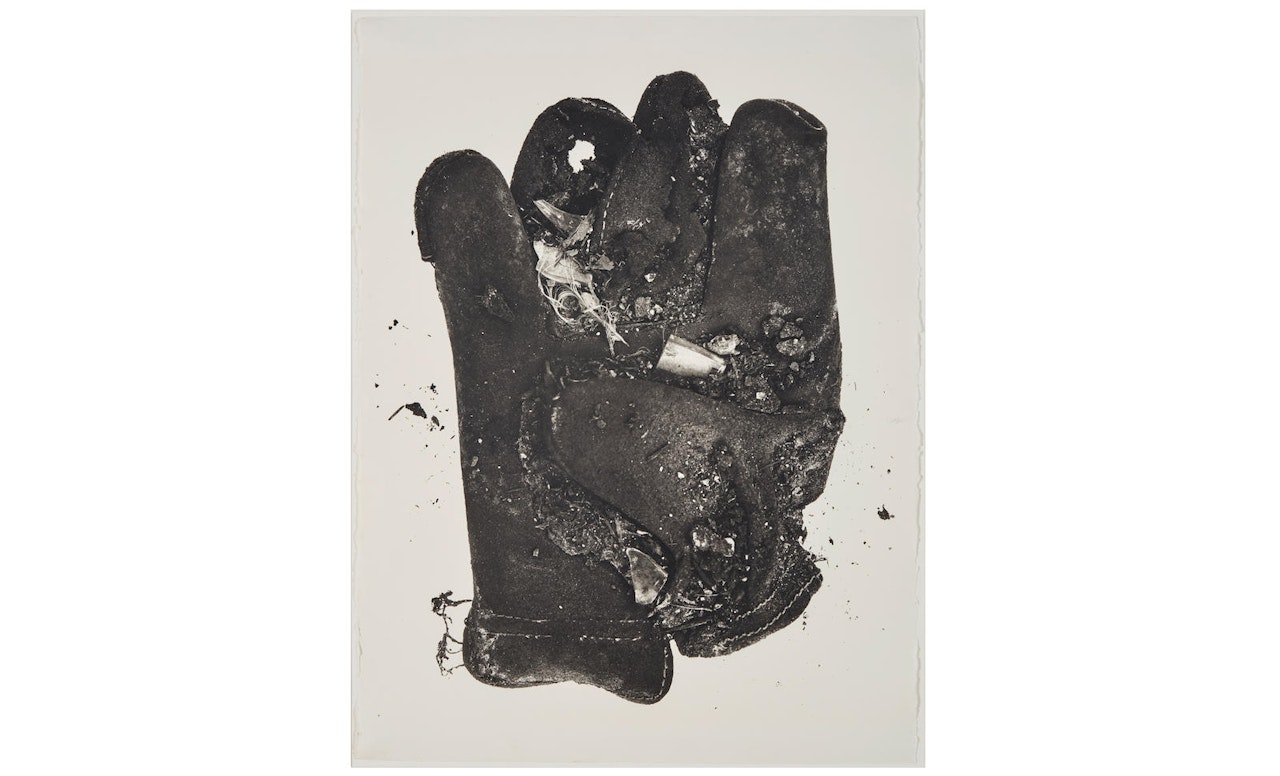 Feather Glove by Irving Penn