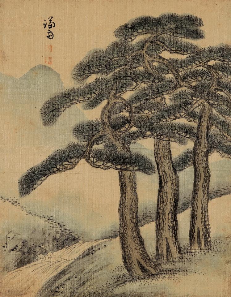 Old  Pine Tree by Chung Sun