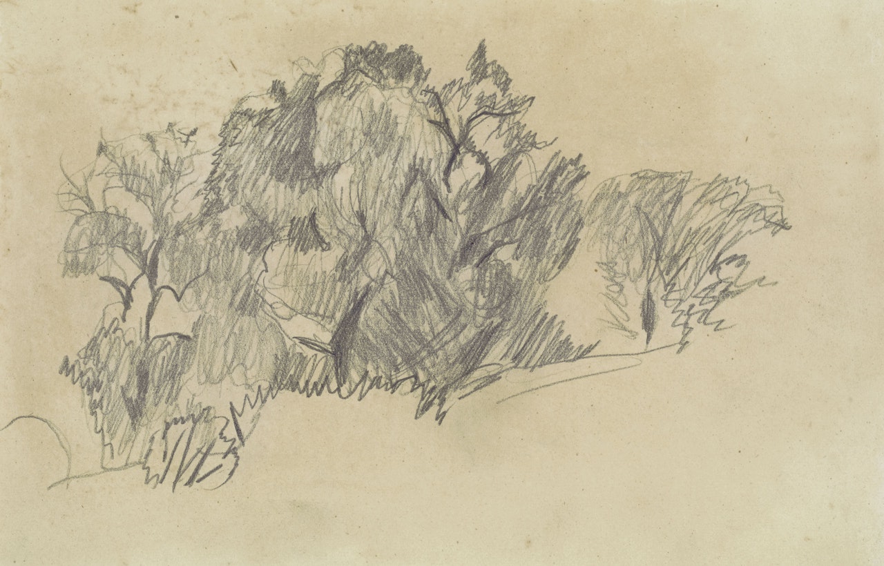 Étude d'arbres by Pierre Bonnard