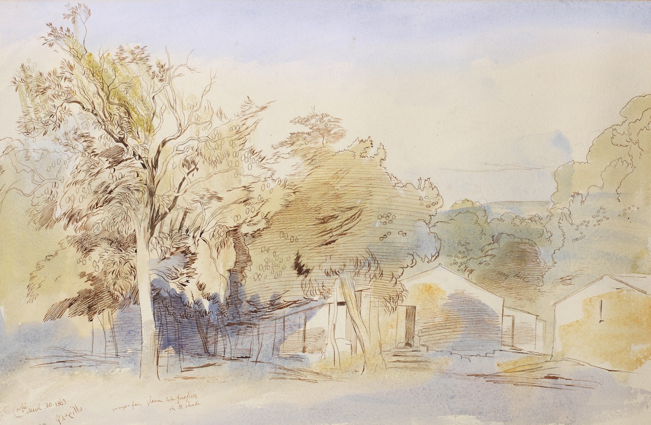Orange grove Corfu by Edward Lear