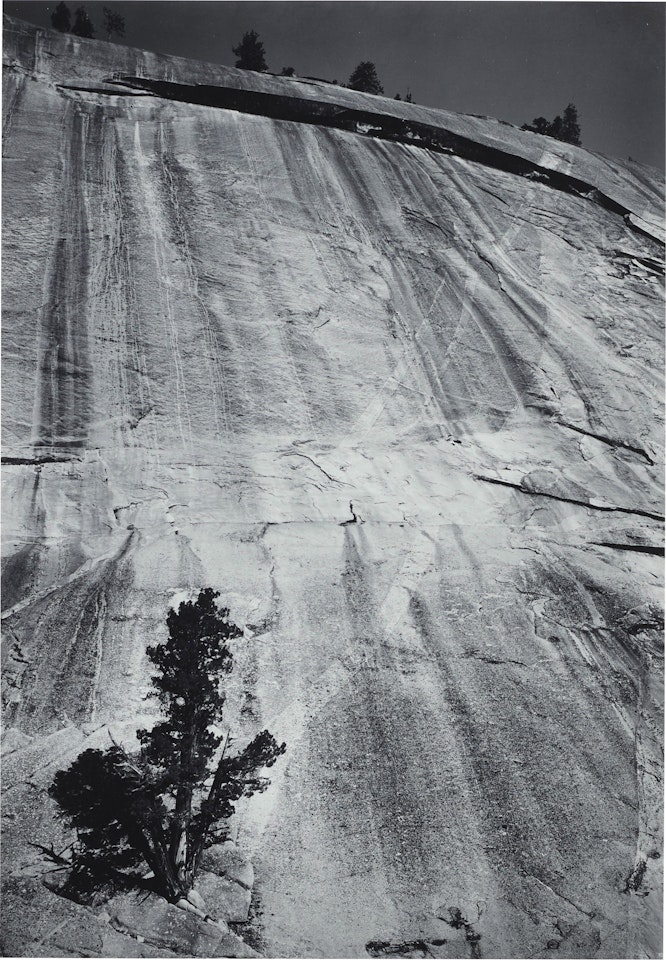 Juniper Tree and Granite Cliff, Merced River Canyon, Yosemite by Ansel Adams