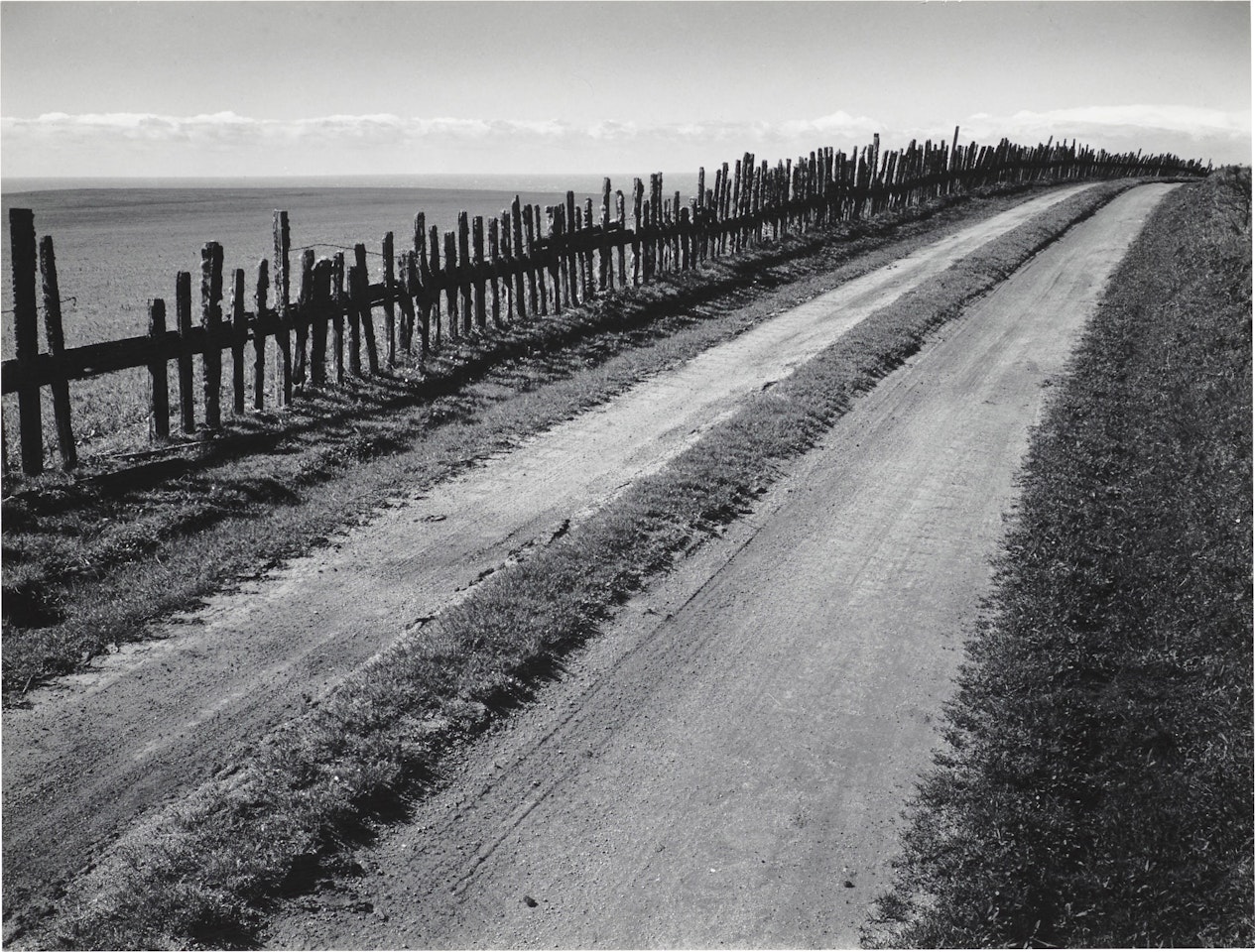 North of Point Reyes, California by Ansel Adams