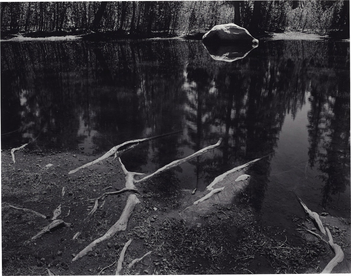 Roots and Pool near Tenaya Lake, Yosemite National Park, California by Ansel Adams