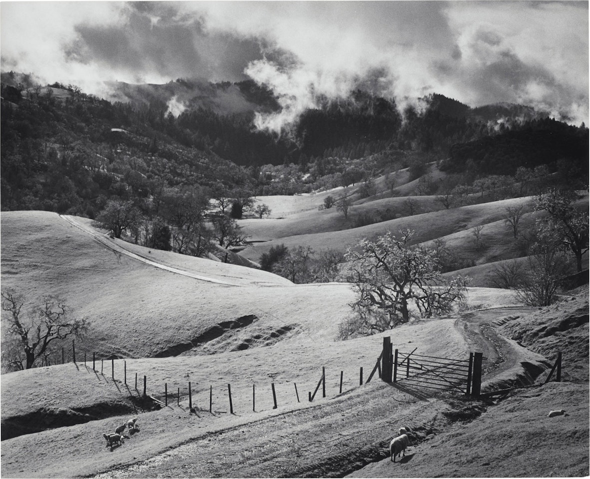 Pasture, Sonoma County, Northern California by Ansel Adams