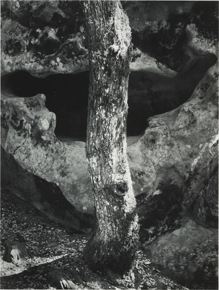 Castle Rock, Summit Road above Saratoga, California by Ansel Adams