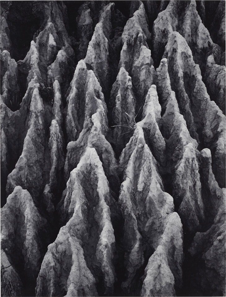 Erosion – Irvine, Southern California by Ansel Adams