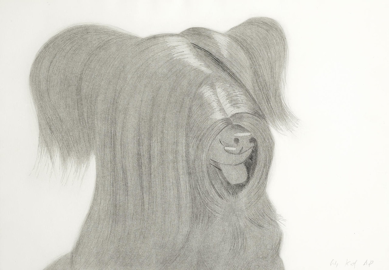 Sunny by Alex Katz