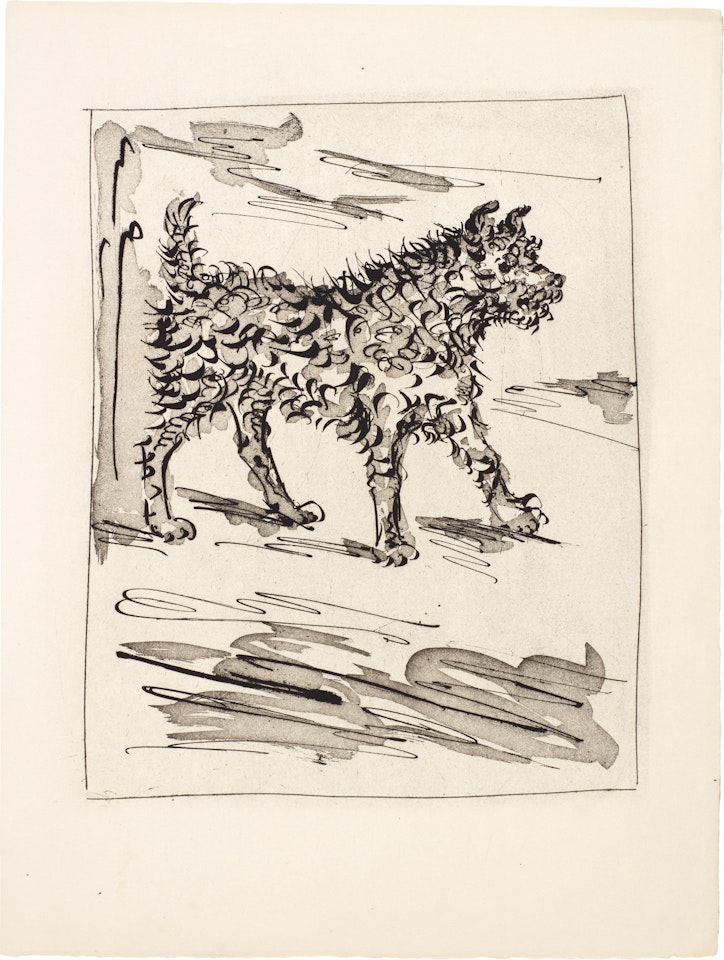 LE CHIEN (B. 334; BA. 581) by Pablo Picasso