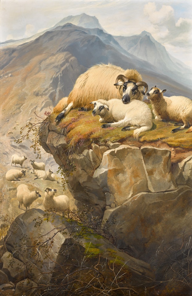 SHEEP IN THE ISLE OF SKYE by Thomas Sidney Cooper