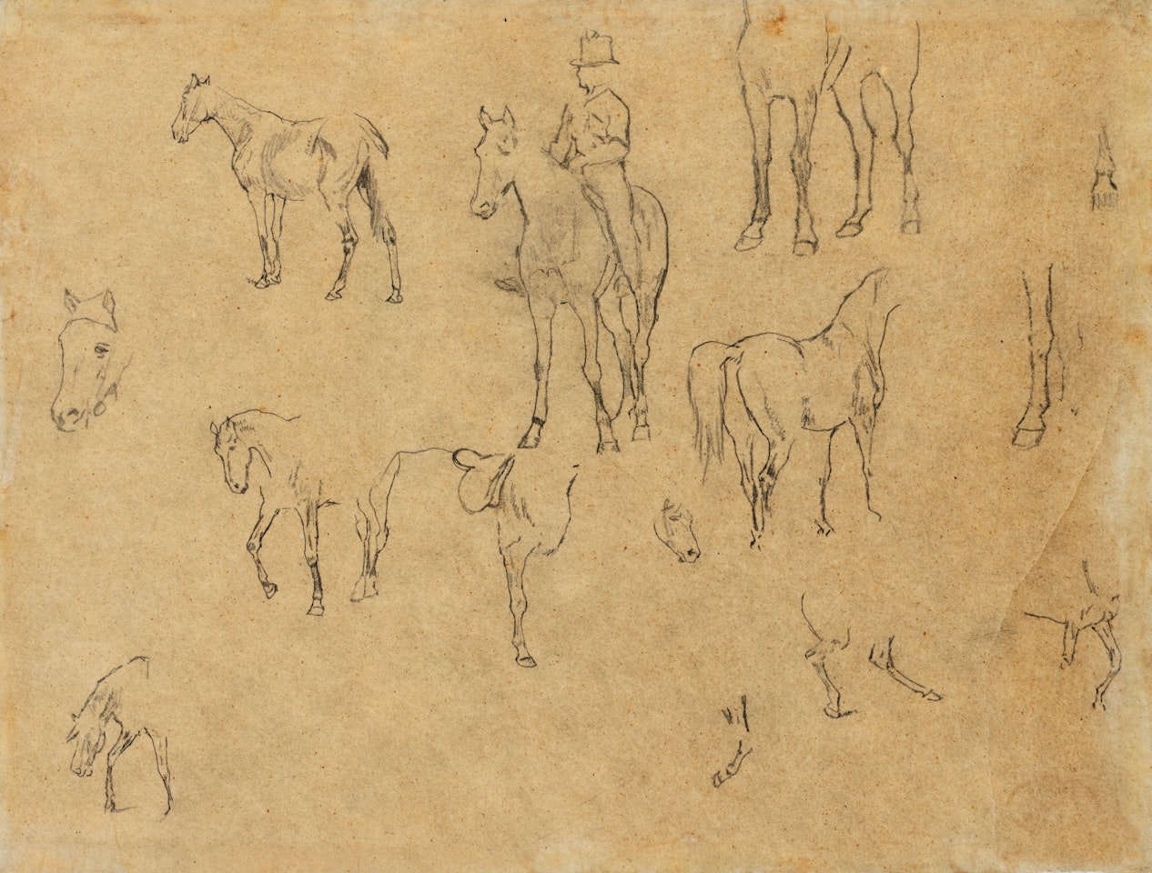 ETUDE DE CHEVAUX ET CAVALIER by Edgar Degas