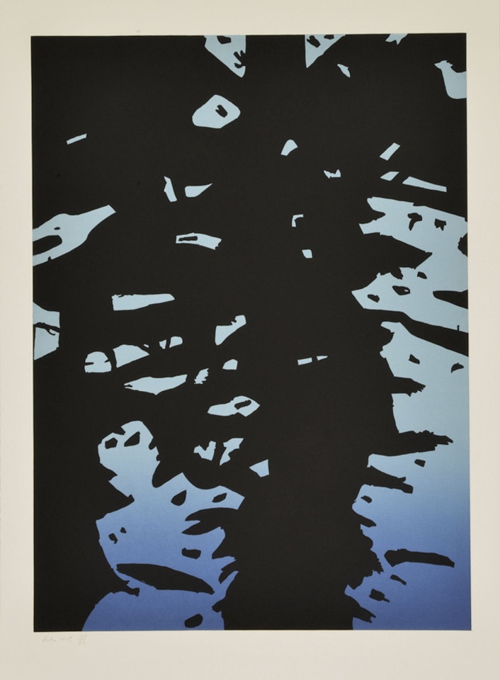 Reflection II by Alex Katz
