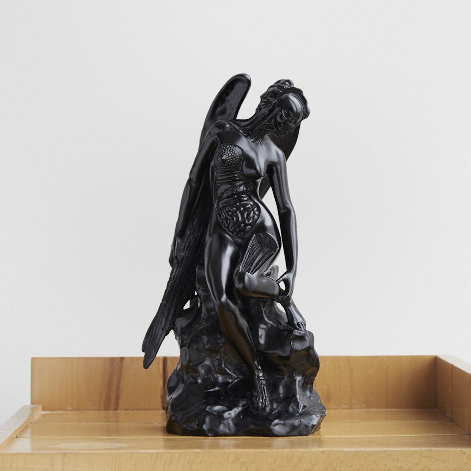 Anatomy of an Angel by Damien Hirst