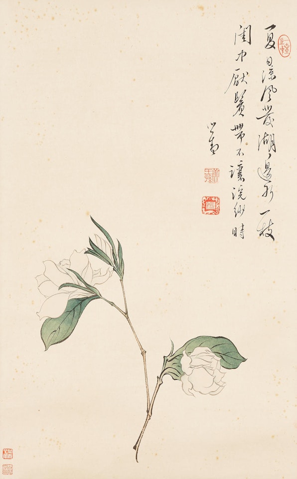 Chinese Rose by Pu Ru