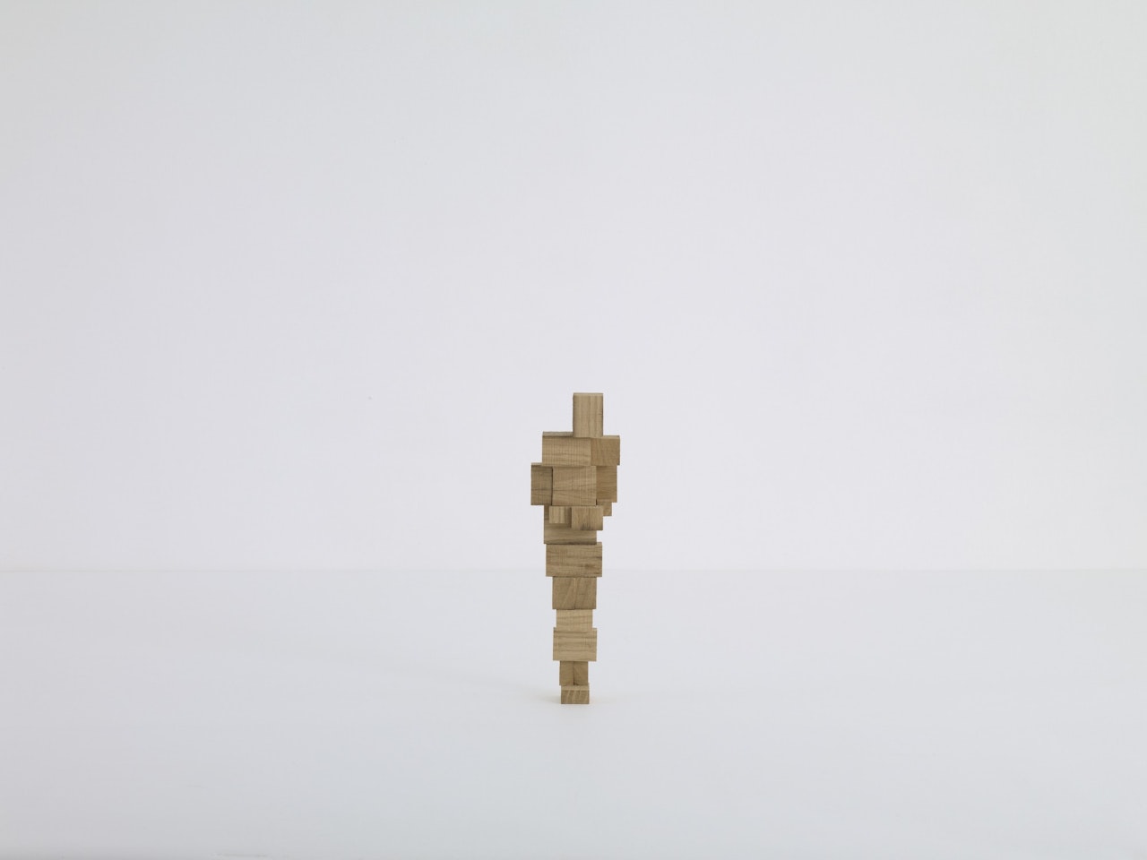 GUT MODEL 1 by Antony Gormley