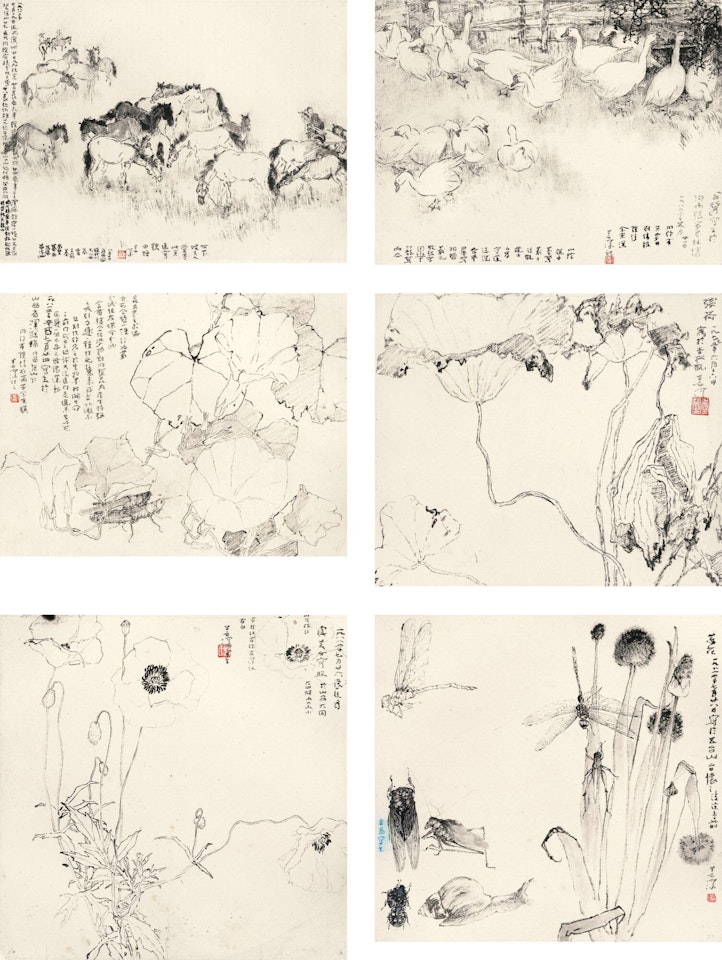 SKETCHES OF FLOWERS AND ANIMALS by Yang Shanshen