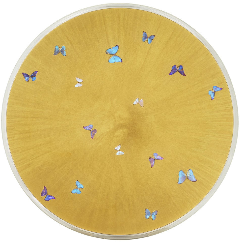Midas Wish by Damien Hirst