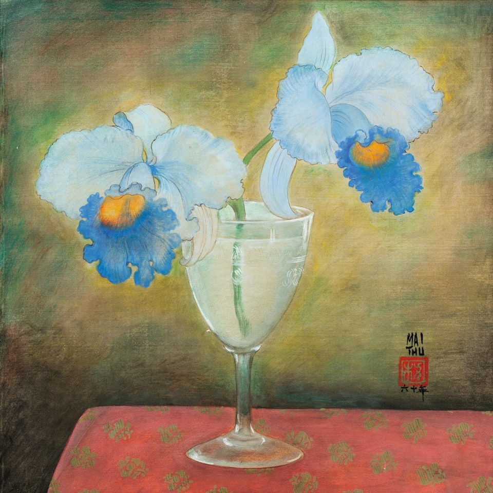 IRIS by Mai Trung Thu