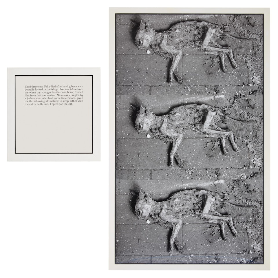 THE CATS (FROM AUTOBIOGRAPHIES) by Sophie Calle