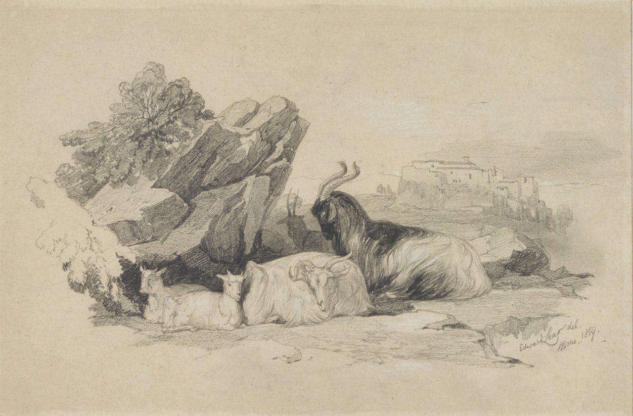 GOATS IN THE CAMPAGNA, NEAR ROME by Edward Lear