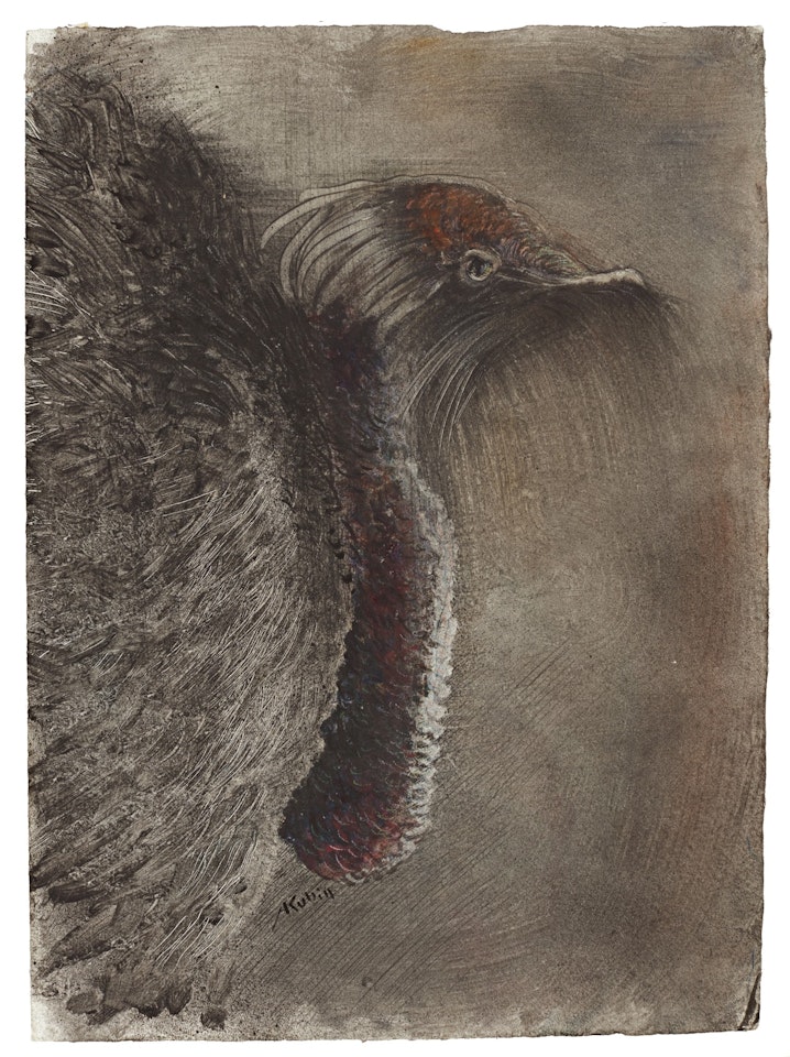 KASUARKOPF (HEAD OF A CASSOWARY) by Alfred Kubin